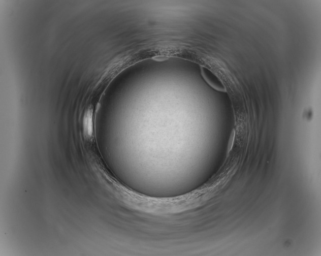 X0000097800046200803141103