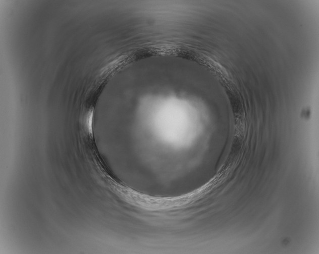 X0000097800047200803141103