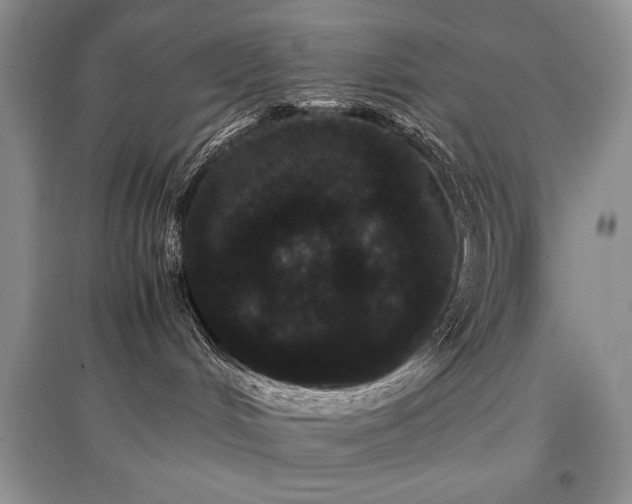 X0000097800048200803141103