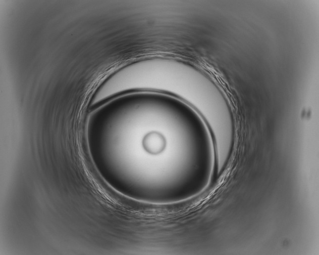 X0000097800049200803141103