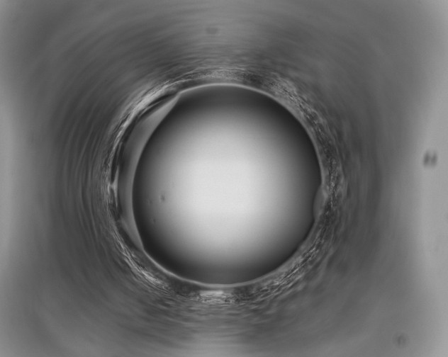 X0000097800050200803141103