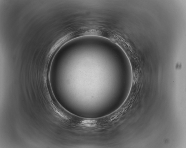 X0000097800051200803141103