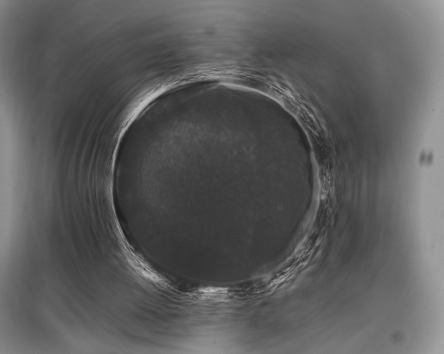 X0000097800052200803141103