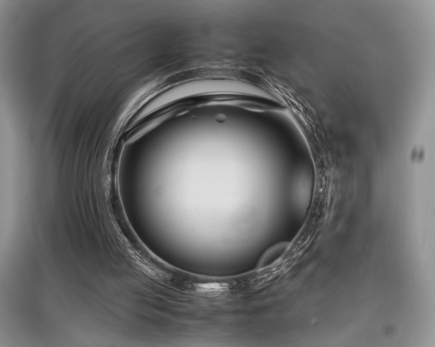 X0000097800053200803141103