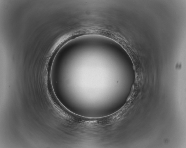 X0000097800054200803141103