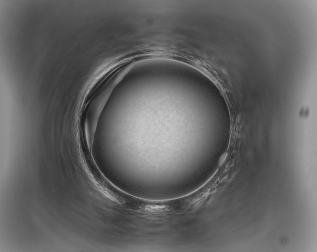 X0000097800055200803141103