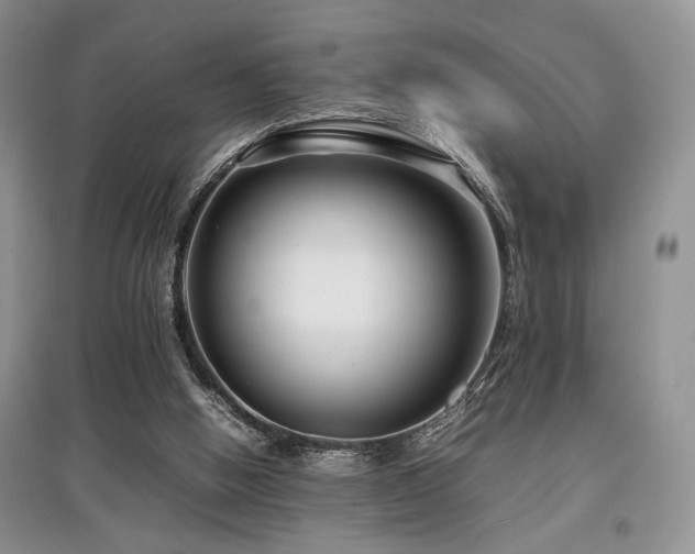 X0000097800058200803141103