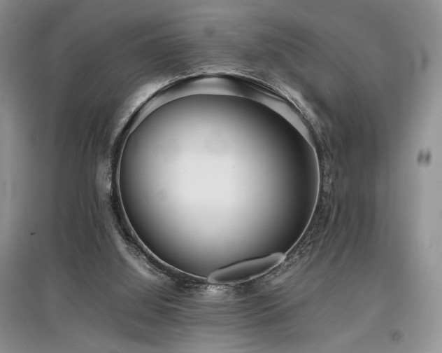 X0000097800060200803141103