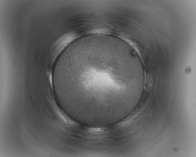 X0000097800061200803141103