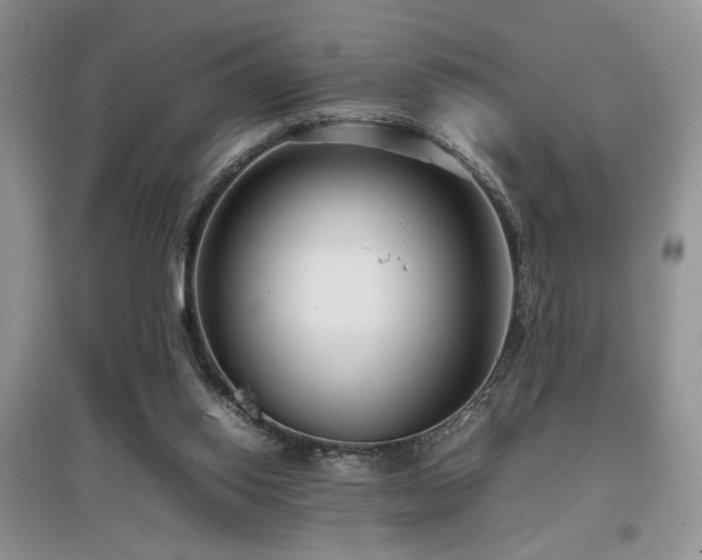 X0000097800062200803141103