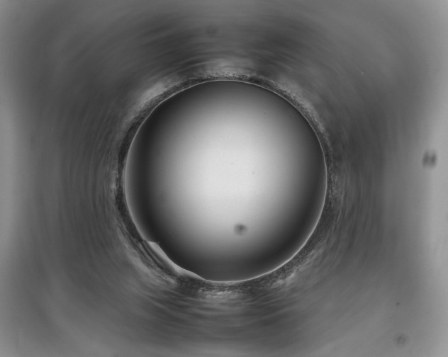 X0000097800063200803141103