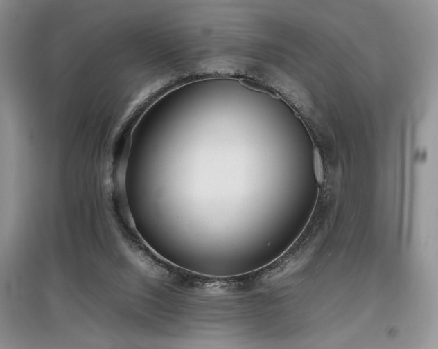 X0000097800064200803141103