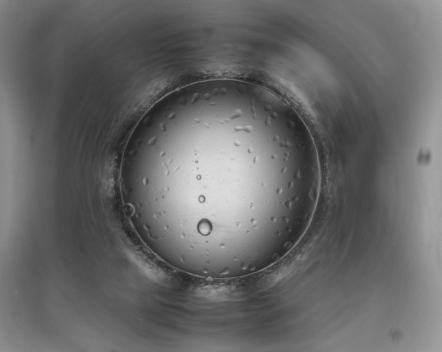 X0000097800065200803141103