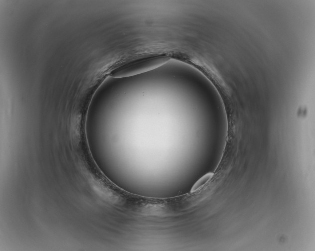 X0000097800066200803141103