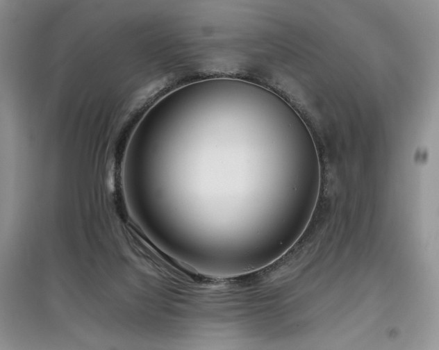 X0000097800068200803141103