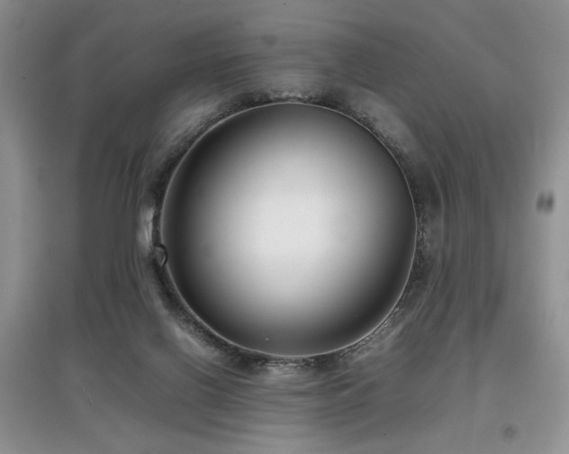 X0000097800070200803141103