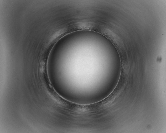 X0000097800071200803141103