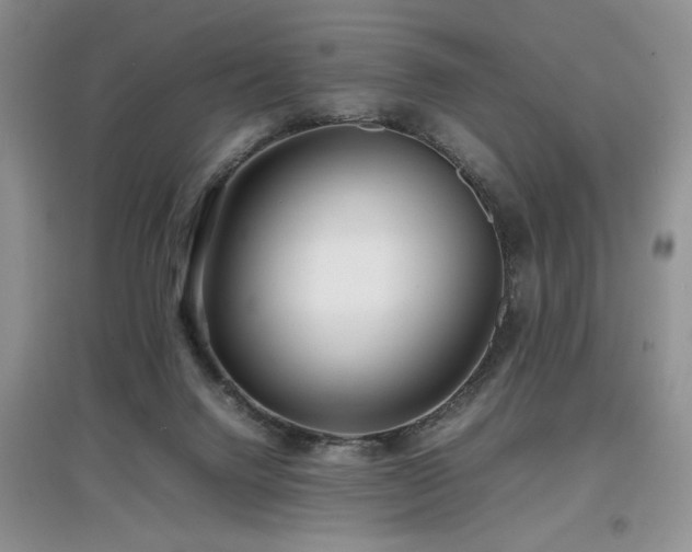 X0000097800072200803141103