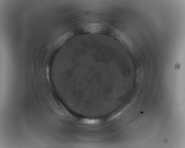 X0000097800073200803141103