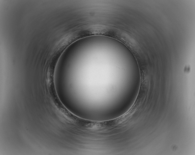 X0000097800074200803141103