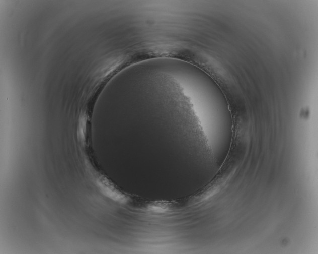 X0000097800076200803141103