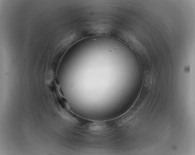 X0000097800077200803141103