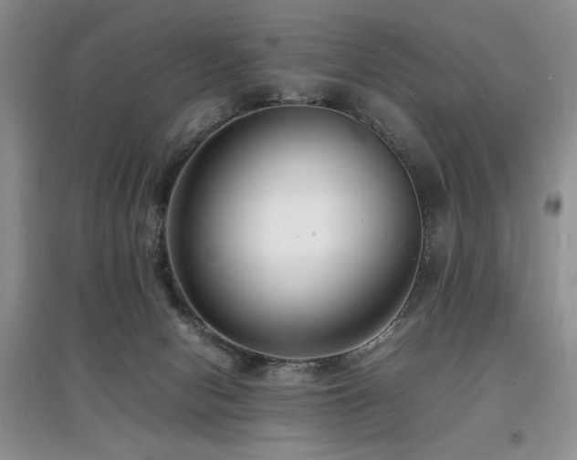 X0000097800078200803141103