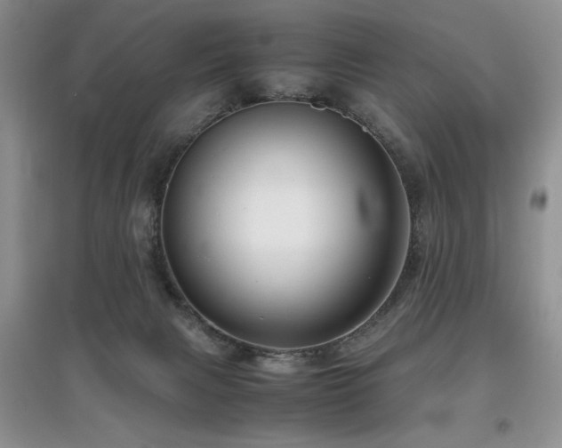 X0000097800079200803141103