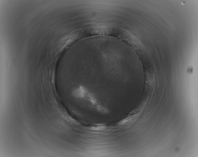 X0000097800080200803141103