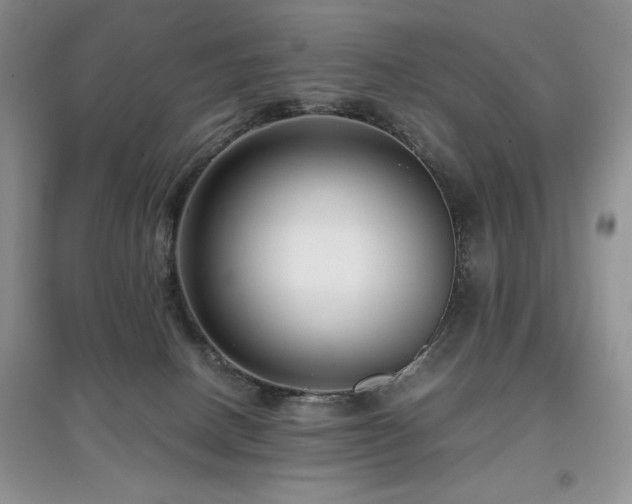 X0000097800082200803141103