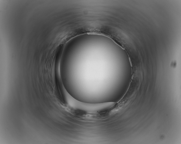 X0000097800084200803141103