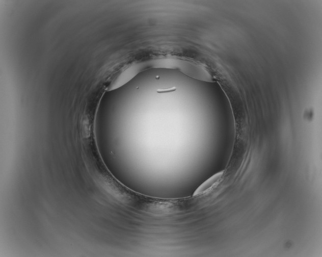 X0000097800086200803141103