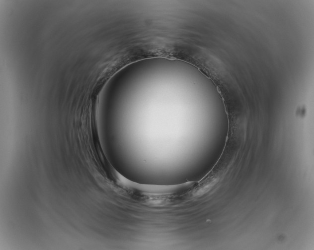 X0000097800088200803141103