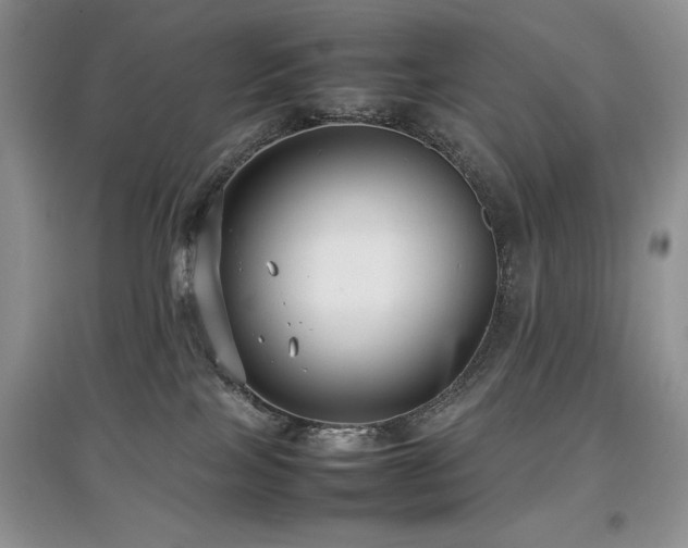 X0000097800089200803141103