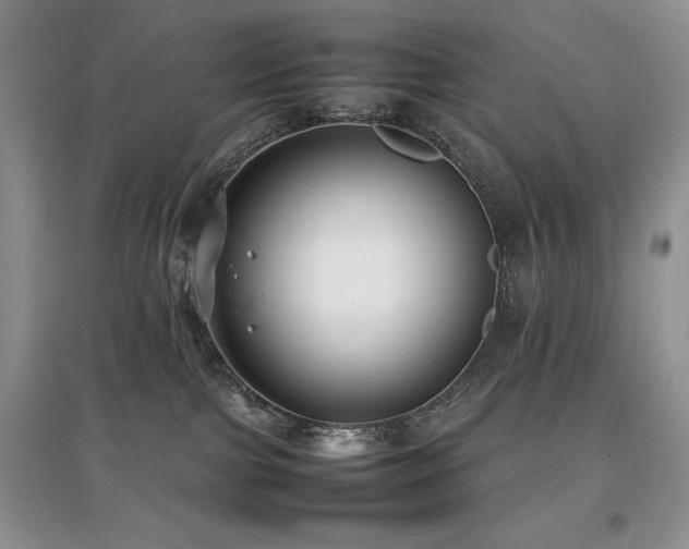 X0000097800091200803141103