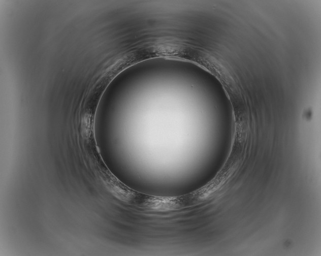 X0000097800093200803141103