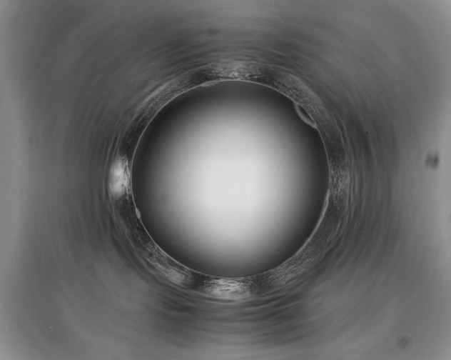 X0000097800095200803141103