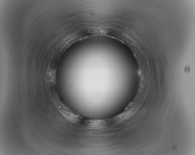 X0000097800096200803141103