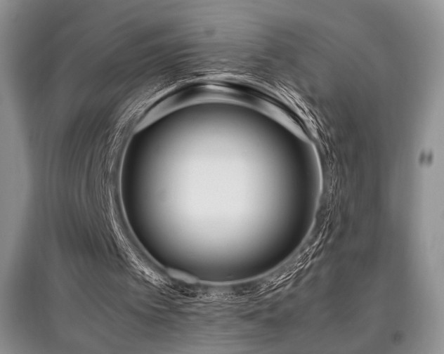 X0000097800097200803141103