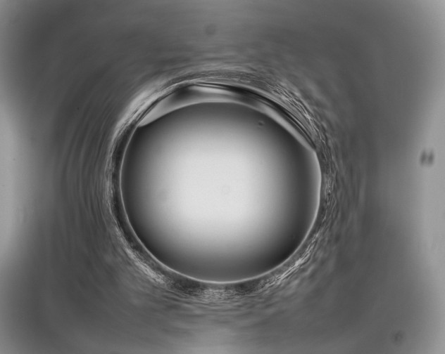 X0000097800101200803141103