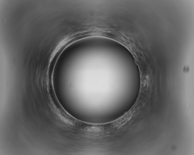 X0000097800102200803141103