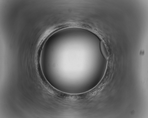 X0000097800103200803141103