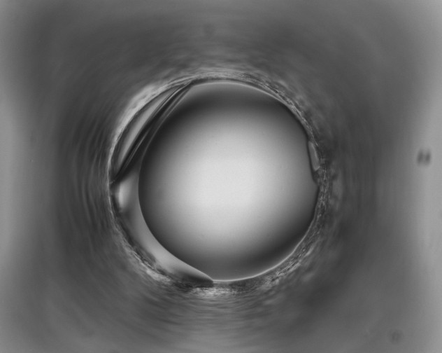 X0000097800104200803141103