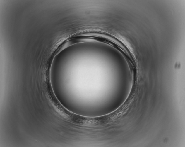 X0000097800105200803141103