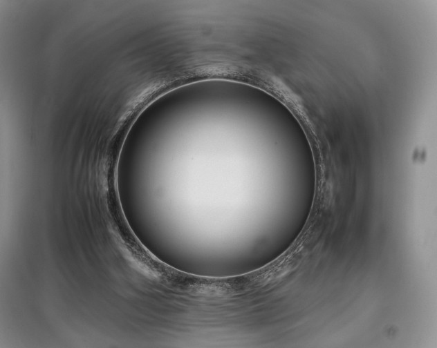 X0000097800106200803141103