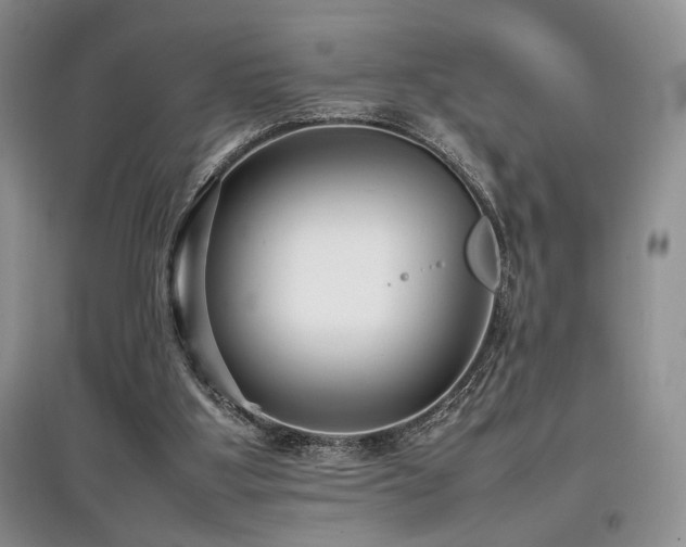 X0000097800107200803141103