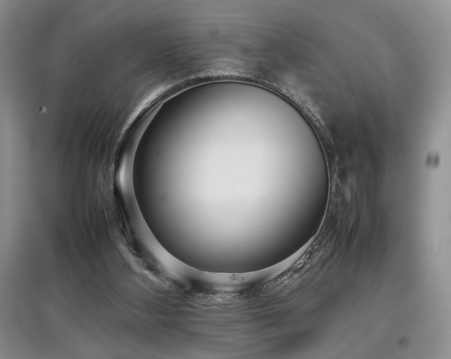 X0000097800108200803141103