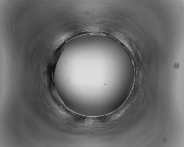 X0000097800109200803141103