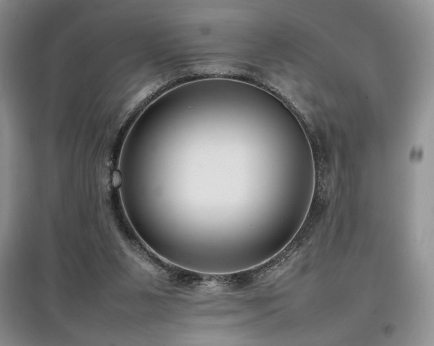 X0000097800111200803141103