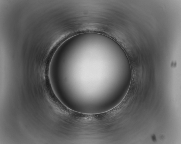 X0000097800112200803141102